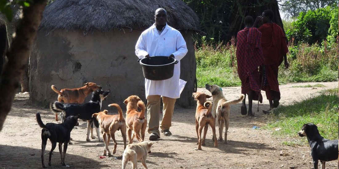 OIPA TANZANIA AND THE RABIES VACCINATION CAMPAIGN
