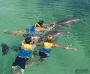 swimming-with-dolphin-cayo-largo_8