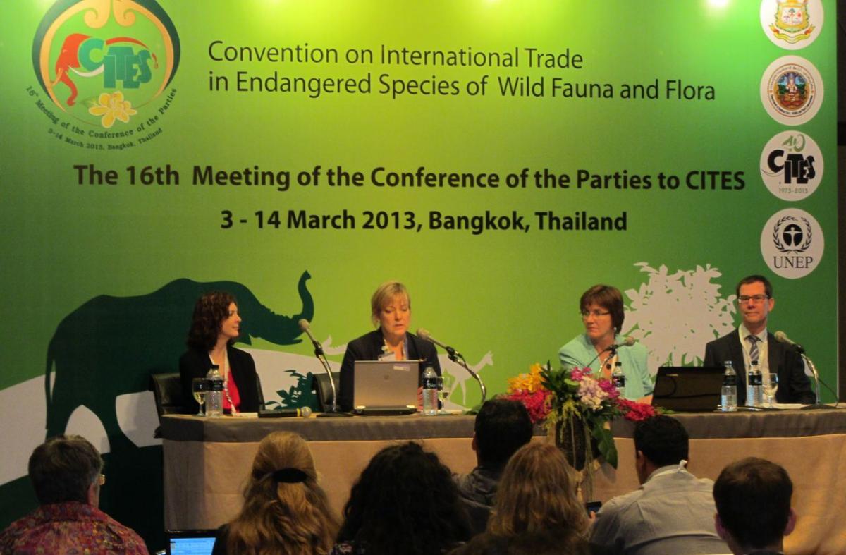 THE CITES (COP17) CONFERENCE WILL BE RUNNING FROM SEPTEMBER 24TH TO OCTOBER 5TH