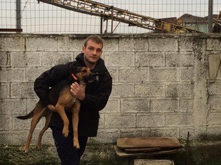 OIPA SWITZERLAND – OVER 50 DOGS TREATED IN TWO DAYS IN SHKODRA, ALBANIA