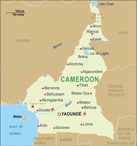 OIPA PROMOTING ENVIRONMENTAL PROTECTION THROUGH ORGANIC FARMING  IN  CAMEROON