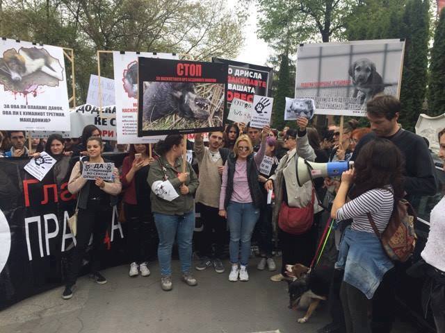 MASS KILLING OF STRAY ANIMALS ARE HAPPENING IN MACEDONIA –  SEND A LETTER OF PROTEST NOW