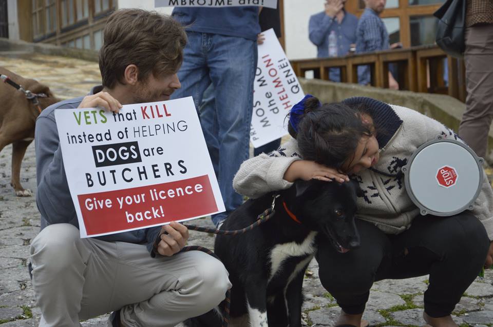 Kosovar and Albanian animal rights activist united against mass killings of stray dogs in their countries