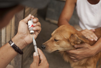 FACTS YOU MAY NOT KNOW ABOUT RABIES