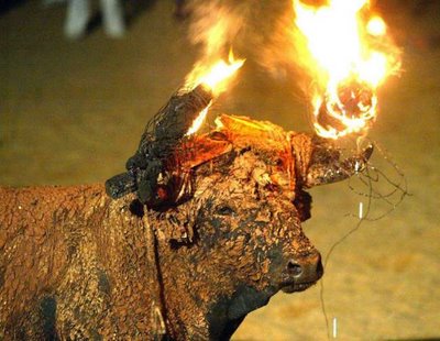 BULLS OF FIRE: A BARBARIC TRADITION BRINGS SHAME ON SPAIN
