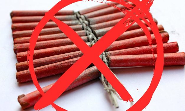 HYSTORICAL VICTORY! FIRECRACKERS BAN IN CROATIA WILL COME INTO FORCE ON JANUARY 2021