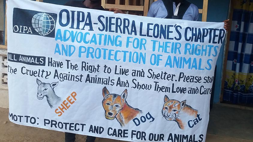 A NEW CHAPTER BEGINS: “PROTECTION AND CARE FOR OUR ANIMALS” THANKS TO OIPA SIERRA LEONE