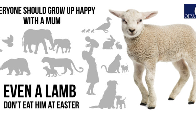 EVERYONE SHOULD GROW UP HAPPY WITH A MUM, EVEN A LAMB. DON’T EAT HIM AT EASTER
