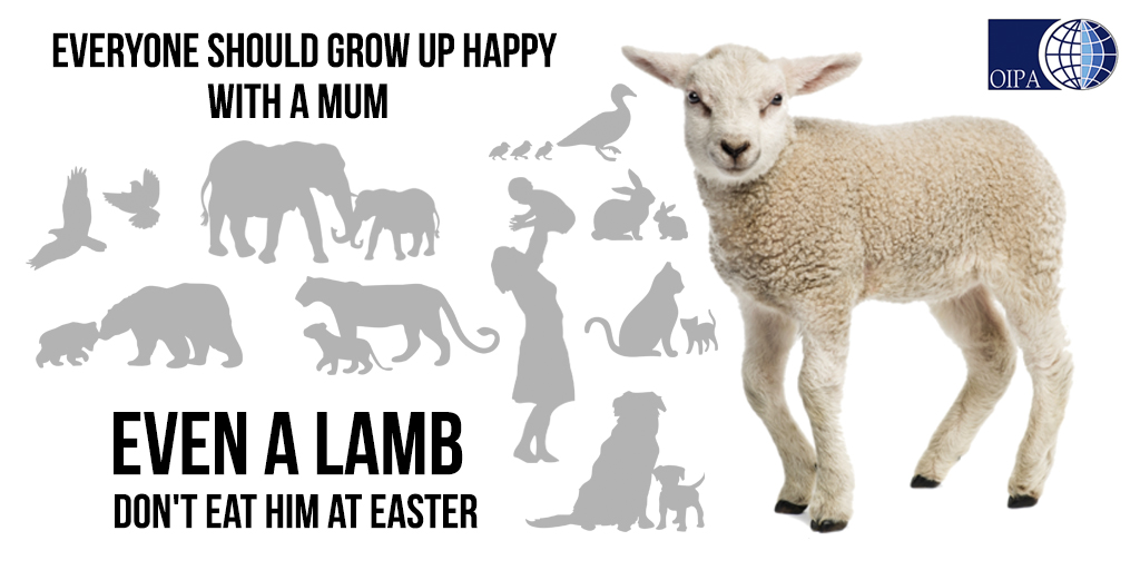 EVERYONE SHOULD GROW UP HAPPY WITH A MUM, EVEN A LAMB. DON’T EAT HIM AT EASTER