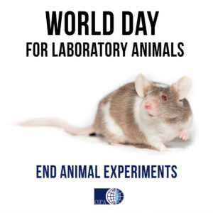 WORLD DAY FOR LABORATORY ANIMALS – 24 April 2021 | OIPA