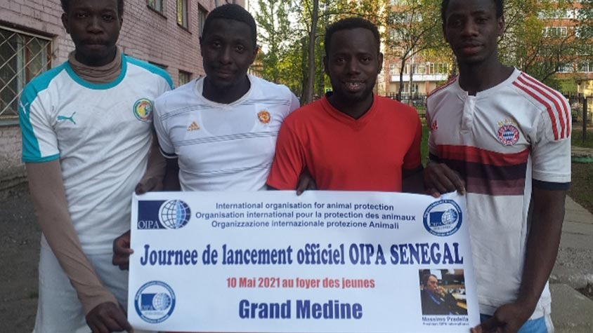 GREAT SUCCESS FOR THE LAUNCH OF OIPA SENEGAL. ANIMALS WILL NOW RELY ON A BETTER PROTECTION