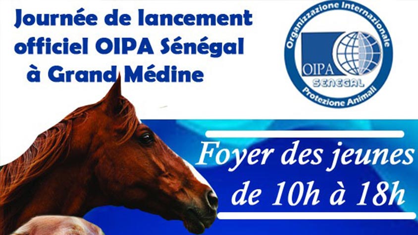ABANDONED, STRAY AND ENDANGERED ANIMALS CAN NOW FIND PROTECTION THANKS TO THE NEW OIPA DELEGATION IN SENEGAL