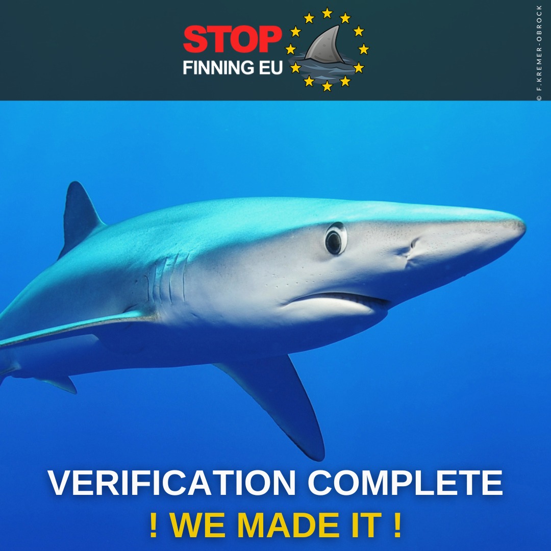 Shark Finning Finally Banned in the European Union