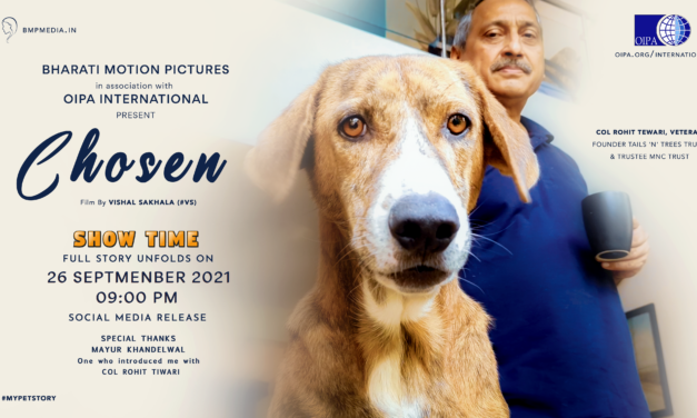 THE LIFE OF RESCUED AND ADOPTED PETS IN INDIA. A SERIES OF STORIES DOCUMENTED BY OUR LOCAL REPRESENTATIVE. SOON A NEW RELEASE “CHOSEN”