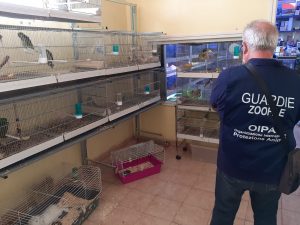 ROME, ITALY – OIPA ANIMAL CONTROL OFFICERS INSPECT AND SANCTION 30 PET  SHOPS | OIPA