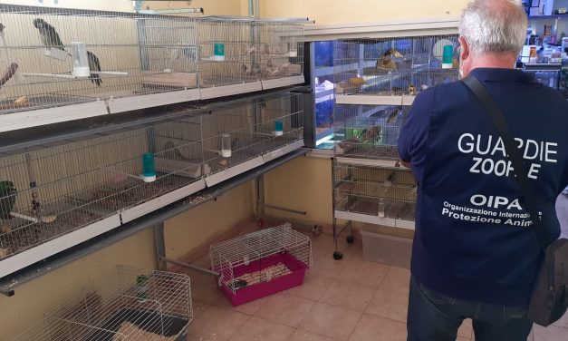 ROME, ITALY – OIPA ANIMAL CONTROL OFFICERS INSPECT AND SANCTION 30 PET SHOPS