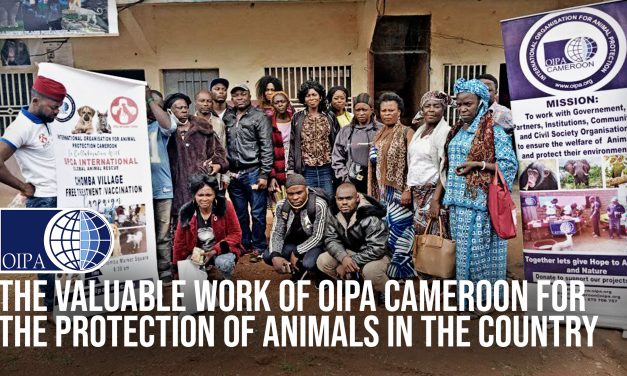 OIPA INTERNATIONAL AND ITS MEMBER LEAGUE ATRA WILL SUPPORT THE MOBILE VET CLINIC OF OIPA CAMEROON
