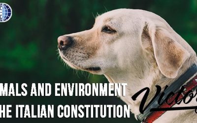 ANIMALS AND ENVIRONMENT PART OF THE ITALIAN CONSTITUTION. A REFORM IN LINE WITH THE LISBON TREATY THAT RECOGNIZES ANIMALS AS SENTIENT BEINGS
