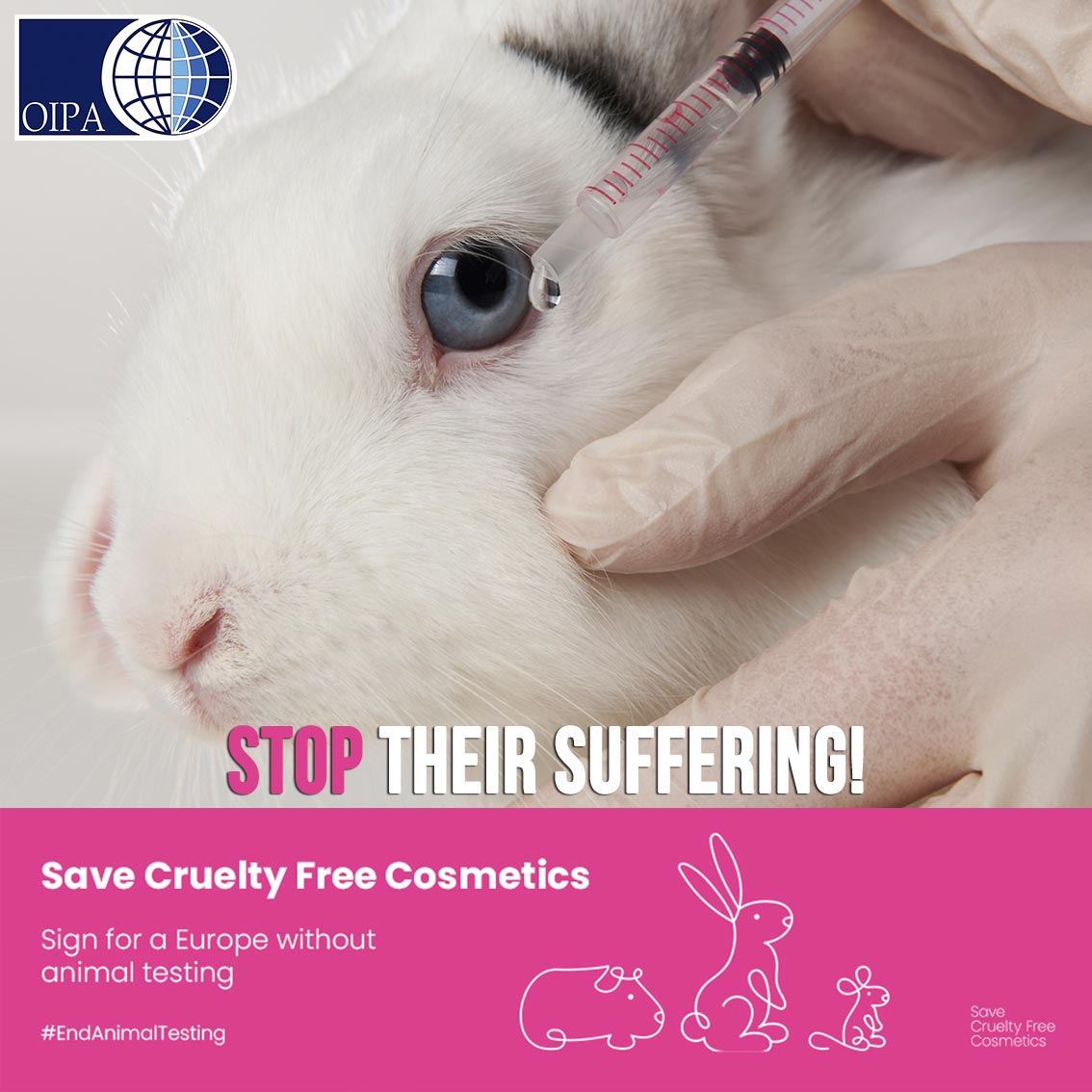 CHEMICALS ARE STILL TESTED ON ANIMALS, BY SIGNING THE ECI “SAVE CRUELTY  FREE COSMETICS” YOU CAN SAY STOP TO ANIMAL TESTING | OIPA