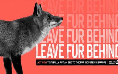 LEAVE FUR BEHIND – YOU CAN NOW ASK FOR A FUR FREE EUROPE