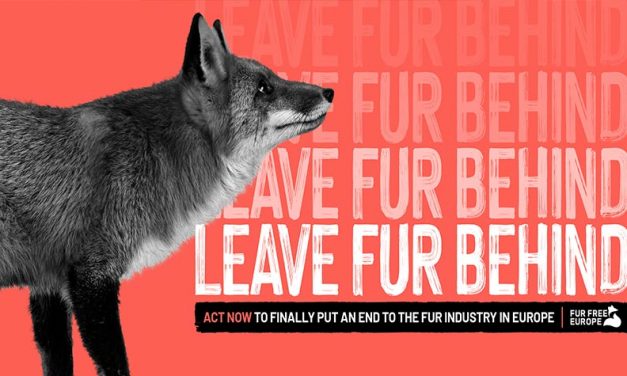 LEAVE FUR BEHIND – YOU CAN NOW ASK FOR A FUR FREE EUROPE