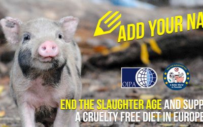 “END THE SLAUGHTER AGE” – SIGN TO SAVE FARMED ANIMALS AND ASK FOR A CRUELTY FREE DIET IN EUROPE
