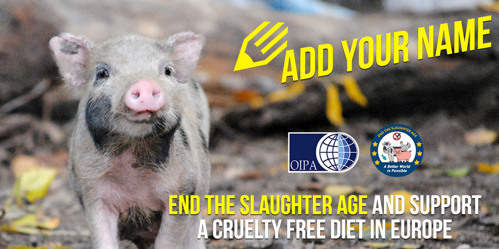 END THE SLAUGHTER AGE” – SIGN TO SAVE FARMED ANIMALS AND ASK FOR A CRUELTY  FREE DIET IN EUROPE | OIPA