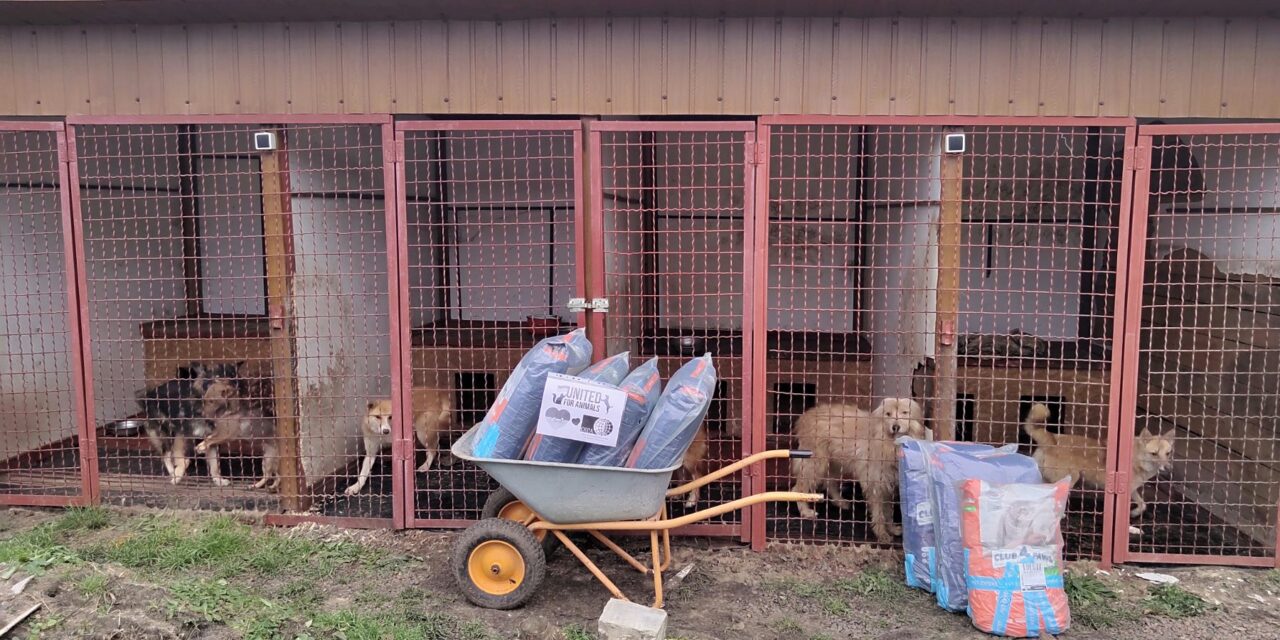 EMERGENCY UKRAINE: UPDATE ON AID PROVIDED TO ANIMALS IN NOVEMBER