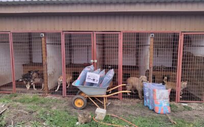 EMERGENCY UKRAINE: UPDATE ON AID PROVIDED TO ANIMALS IN NOVEMBER