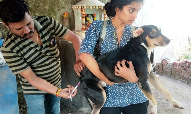 FREE ANTI RABIES VACCINATION DRIVE FOR STRAYS AT MULUND, MUMBAI