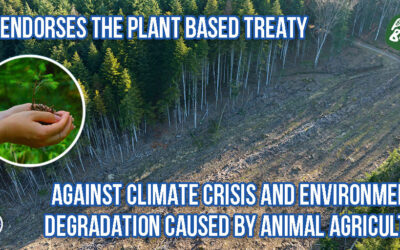 OIPA ENDORSES THE PLANT BASED TREATY TAKING A STAND AGAINST CLIMATE CRISIS AND ENVIRONMENTAL DEGRADATION CAUSED BY ANIMAL AGRICULTURE