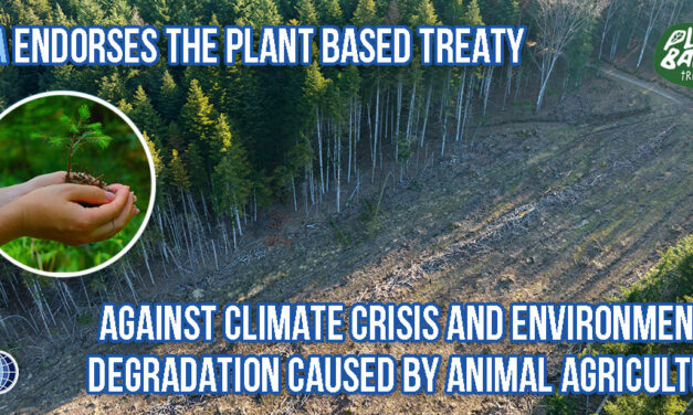 OIPA ENDORSES THE PLANT BASED TREATY TAKING A STAND AGAINST CLIMATE CRISIS AND ENVIRONMENTAL DEGRADATION CAUSED BY ANIMAL AGRICULTURE