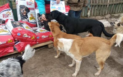 EMERGENCY UKRAINE: AN OVERVIEW OF AID TO ANIMALS RECENTLY DELIVERED