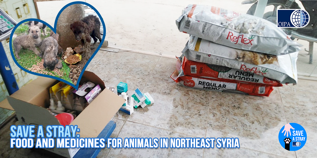 DELIVERY OF PET FOOD AND MEDICAL PRODUCTS FOR STRAY ANIMALS IN NORTHEAST OF SYRIA
