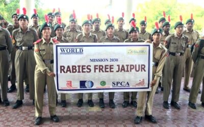 RABIES FREE JAIPUR, A PROJECT TO PROMOTE ANTI RABIES VACCINATIONS AND DOG BITE PREVENTIVE MEASURES IN SCHOOLS AND COMMUNITIES