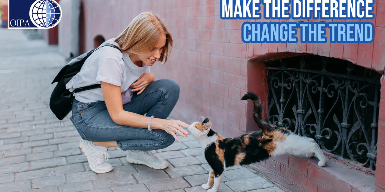 MAKE THE DIFFERENCE CHANGE THE TREND. HELP STRAY CATS