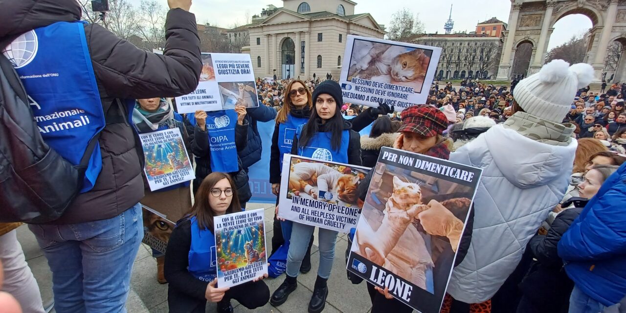 FOR LEONE, ARON AND ALL ANIMALS, HELPLESS VICTIMS OF HUMAN CRUELTY. PROTEST IN MILANO, ITALY