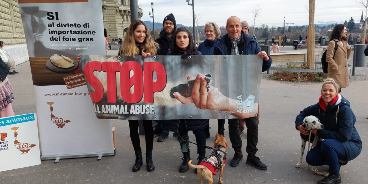 SWISS ANIMAL RIGHT ASSOCIATIONS AND CITIZENS CALL FOR A BAN ON FUR AND FOIE GRAS IMPORTS