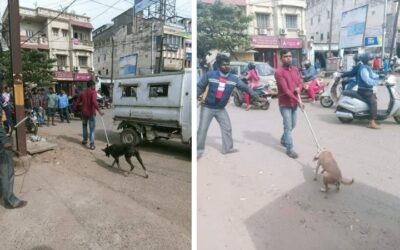 OIPA IN ODISHA SUBMITS A COMPLAIN FOR ILLEGAL DOG RELOCATION BY MUNICIPAL CORPORATION BHUBANESWAR