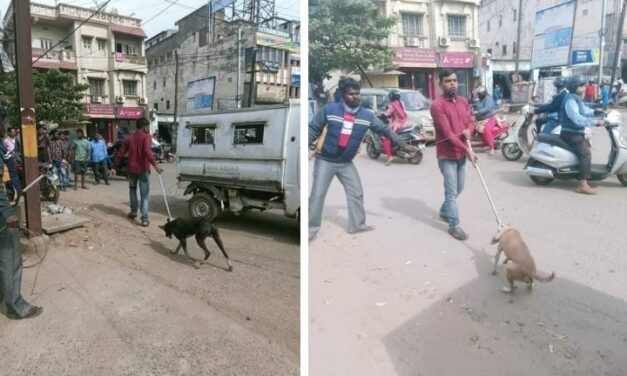 OIPA IN ODISHA SUBMITS A COMPLAIN FOR ILLEGAL DOG RELOCATION BY MUNICIPAL CORPORATION BHUBANESWAR