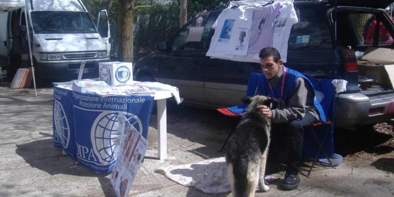 Gatti abbandonati, recuperi di cani smarriti, tavoli informativi: gli interventi dei volontari OIPA
