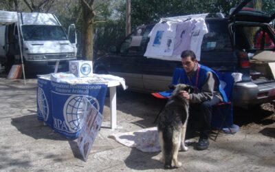 Gatti abbandonati, recuperi di cani smarriti, tavoli informativi: gli interventi dei volontari OIPA