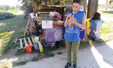 Libertà e protezione: è il progetto degli angeli blu dell’OIPA di Ascoli Piceno per i 25 mici dell’Oasi La Valle. Con il valore di un caffè, anche tu puoi aiutarli a realizzarlo