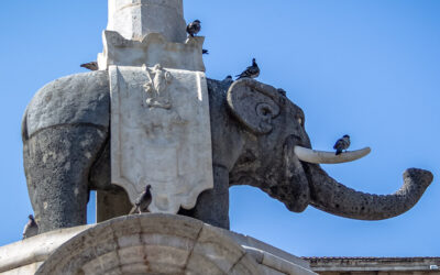 L’elefante di Catania e le leggende sui ciclopi