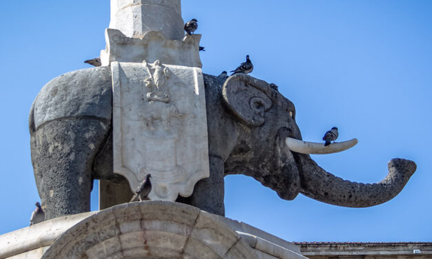 L’elefante di Catania e le leggende sui ciclopi