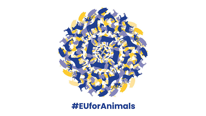OIPA DIVENTA PARTNER DELLA CAMPAGNA #EUFORANIMALS PER RICHIEDERE UN COMMISSARIO EUROPEO A TUTELA DEL BENESSERE ANIMALE. FIRMA ANCHE TU LA PETIZIONE
