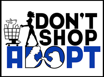 “Don’t shop, adopt!”: campagna OIPA contro l’acquisto di animali