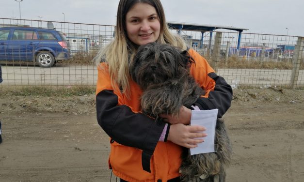 UCRAINA, PRIME DONAZIONI PER GLI ANIMALI CONSEGNATE IN ROMANIA DA OIPA INTERNATIONAL