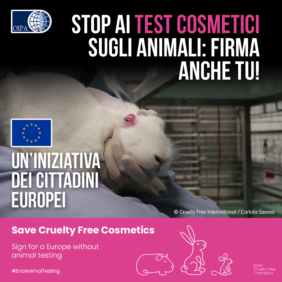 MILANO – STOP AI TEST COSMETICI SUGLI ANIMALI: RACCOLTA FIRME CON EVENTO SCENOGRAFICO