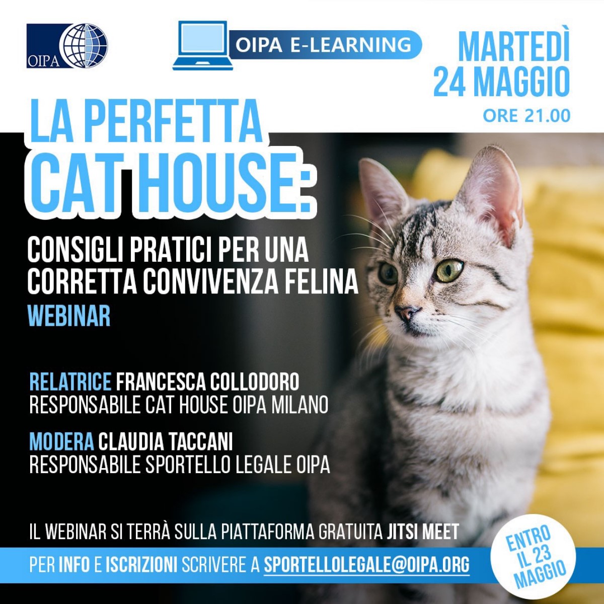 LA PERFETTA CAT HOUSE: WEBINAR